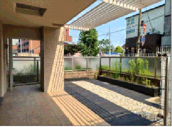 ローレルコート立花町の庭