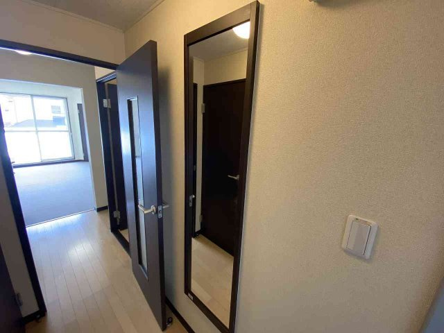 レオネクストアイリーブルーのその他