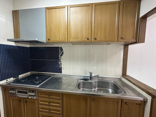 ユーハウス長良川【2階】のキッチン