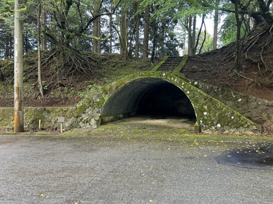 【外観】 | 東急天城高原別荘地　売地