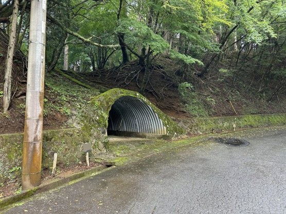 【周辺】 | 東急天城高原別荘地　売地