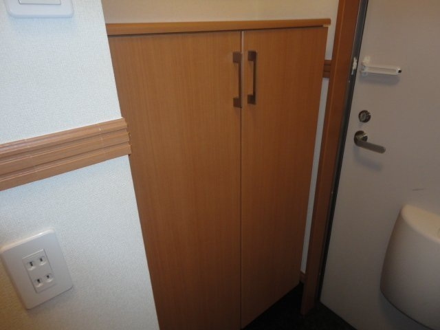 フラッツ東中島の玄関