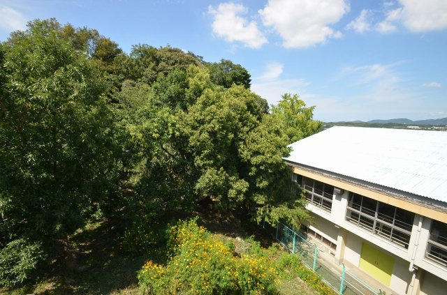 ハイム西町の展望