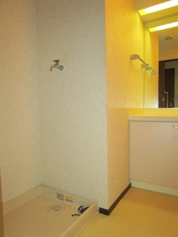 メイツ川越南大塚のランドリースペース