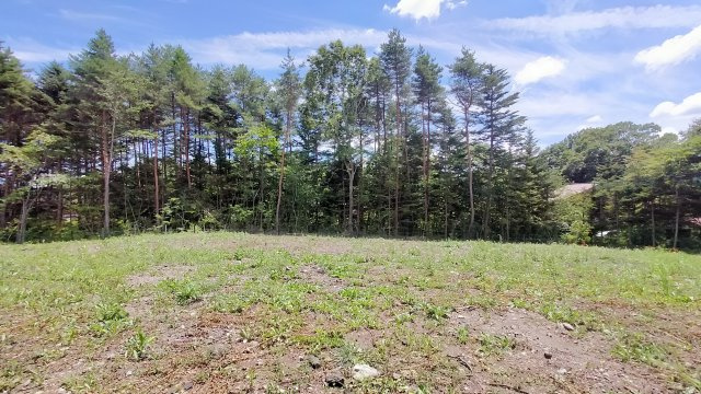 中軽井沢 大日向分譲地 建築条件付き土地 B区画のその他