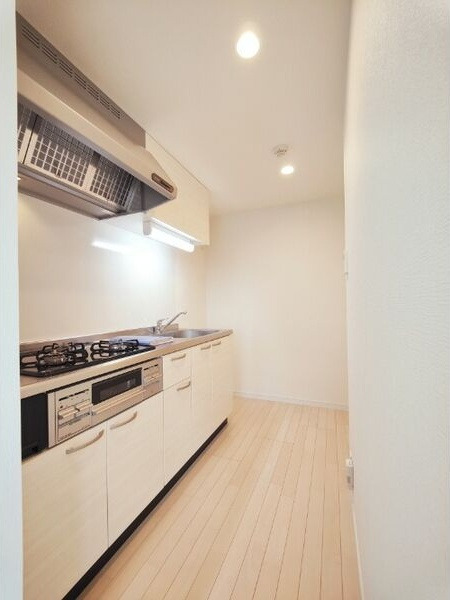 ヴィガラス平町のキッチン