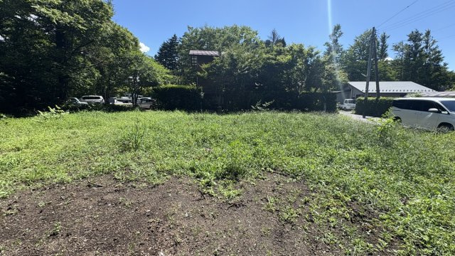 新軽井沢エリア　プリンス通り至近 アクセスの良い売土地の展望