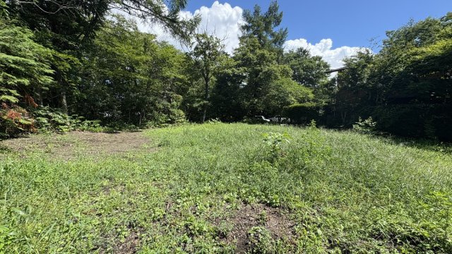 新軽井沢エリア　プリンス通り至近 アクセスの良い売土地の展望