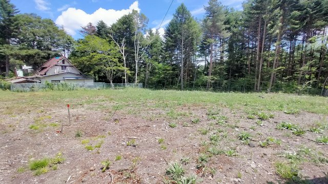 中軽井沢 大日向分譲地 建築条件付き土地 D区画のその他