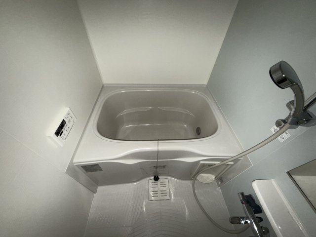 フィールド　ミドル・ライペンⅡの浴室