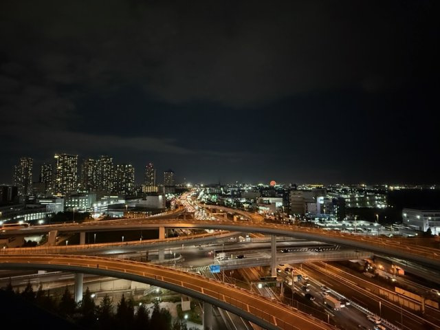 シティタワーズ東京ベイ イーストタワーの展望