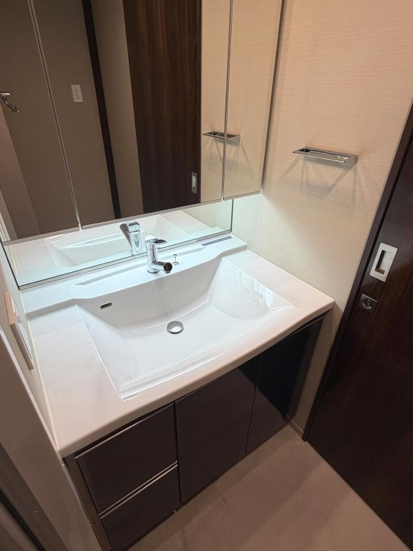 シティタワーズ東京ベイ イーストタワーの洗面所