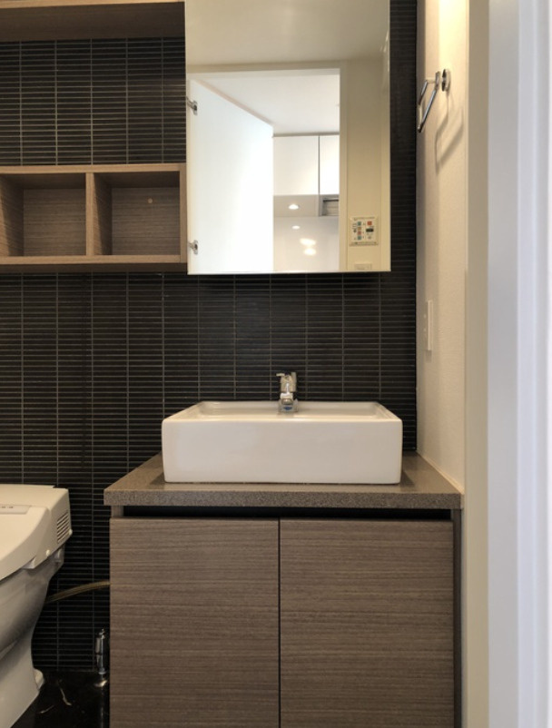 カスタリア大塚の洗面所