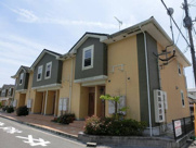 ハナミズキＢの画像