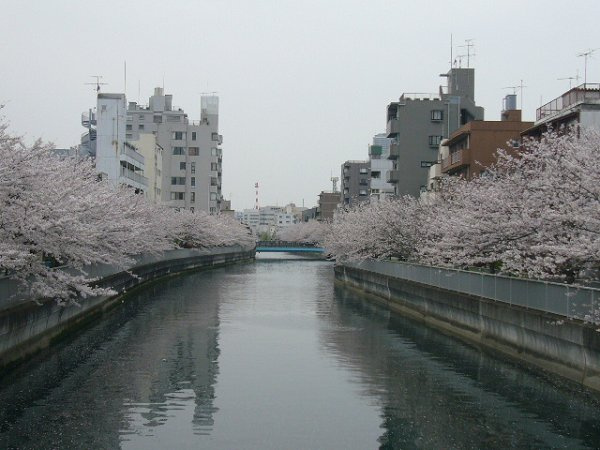 Y’sビルの展望|近隣川