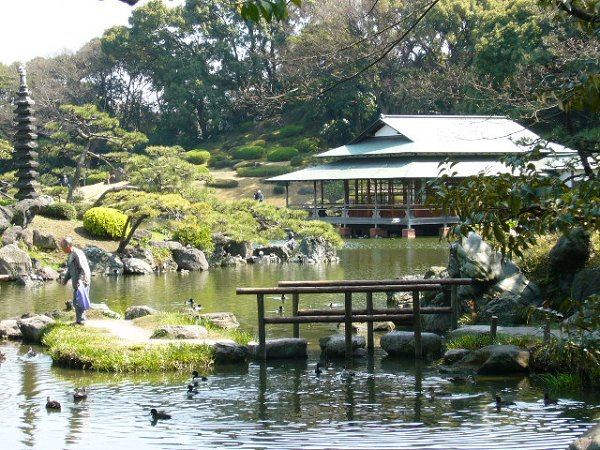 Y’sビルの展望|清澄庭園