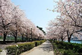 南天満公園（615m）