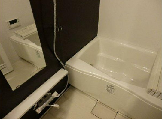 ZOOM池尻大橋　デザイナーズ　分譲賃貸　ペット相談の浴室