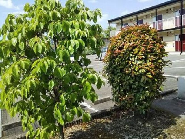 【その他】 | レオパレスウイロウ