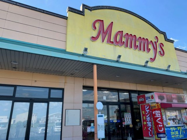 【周辺】 | レオパレスグランソワール