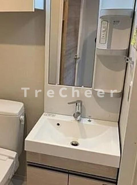 グランフォース西川口の洗面所