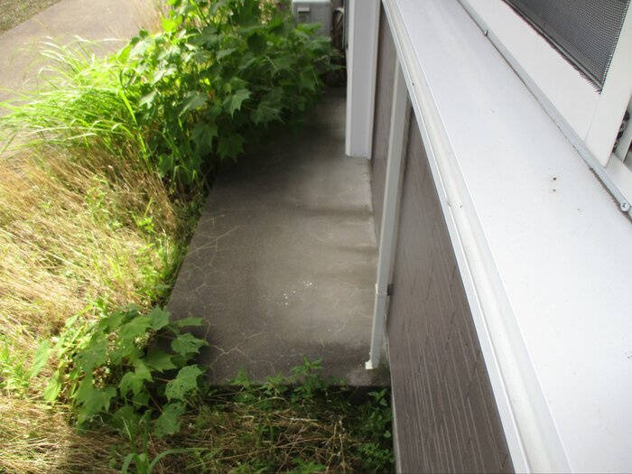 パセオみずほ台ⅡBの庭