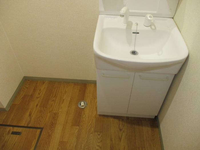 パセオみずほ台ⅡBの洗面所