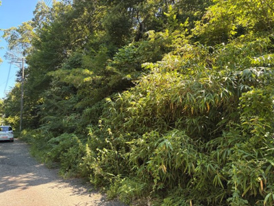【前面道路含む現地写真】 | 高島市マキノ町寺久保696-30　売土地