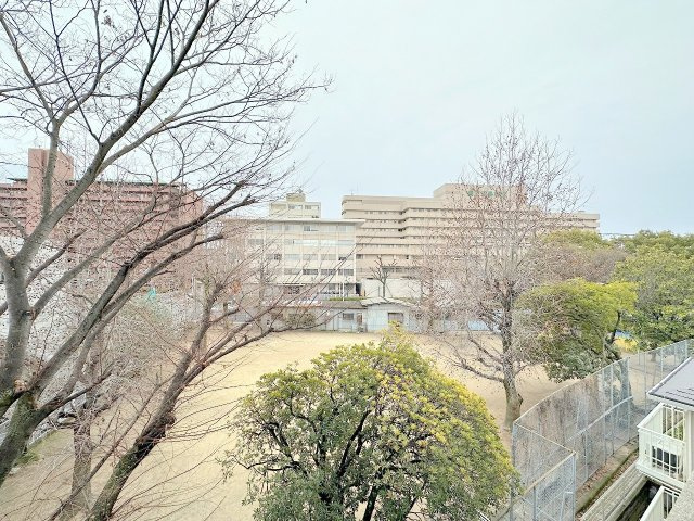 【展望】 | AFFABILE MIDORI