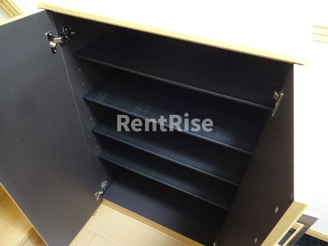 ガーデンツバキ（Ｇａｒｄｅｎ Ｔｓｕｂａｋｉ）のその他|下駄箱