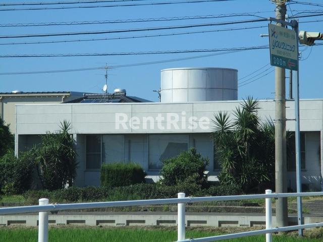 ガーデンツバキ（Ｇａｒｄｅｎ Ｔｓｕｂａｋｉ）のその他|中奈良歯科 0.2km