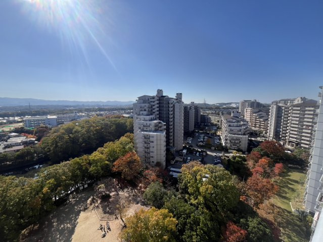 サンディ・パークスⅢ番館の展望