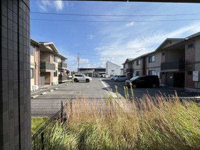 【展望】 | ピュア・リーフ