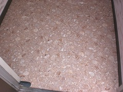 サンシャインイマの玄関
