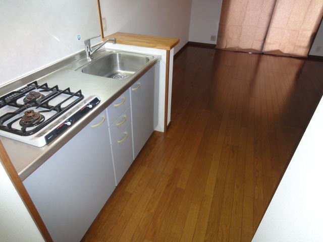 プラージュ大橋のキッチン