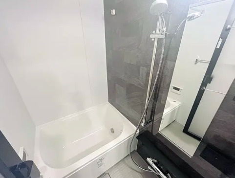 クレヴィアリグゼ錦糸町の浴室