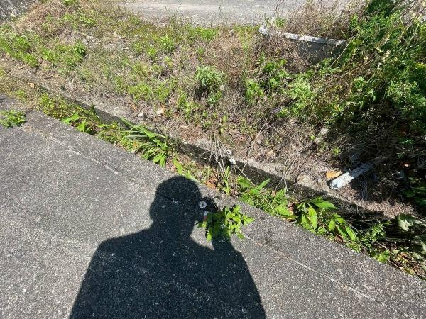 御坊市藤田町藤井　土地