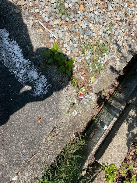 御坊市藤田町藤井　土地