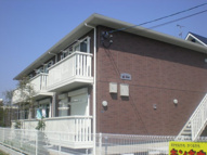 ユーメインの画像