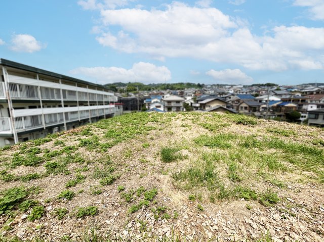 【展望】の画像