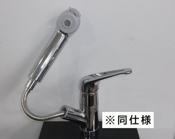 マルタン　シュドのその他