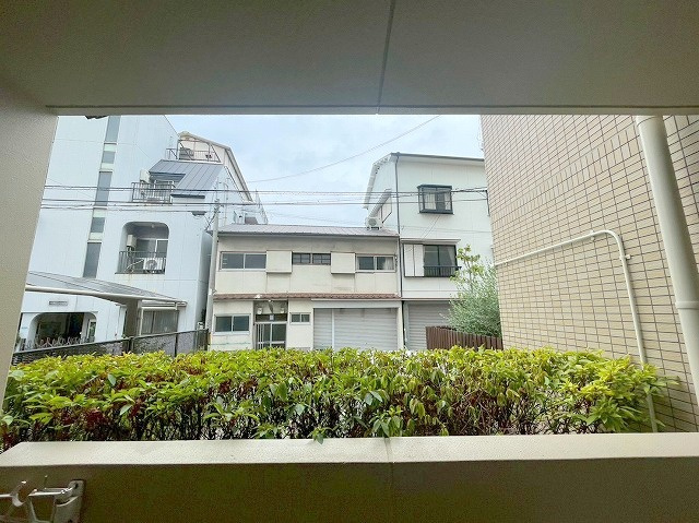 スプルース・ネストの展望