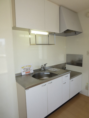 【キッチン】 | フルール・プリムヴェール D棟 | 【フルール・プリムヴェール D棟】キッチン