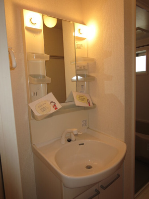 【洗面所】 | フルール・プリムヴェール D棟 | 【フルール・プリムヴェール D棟】洗面所