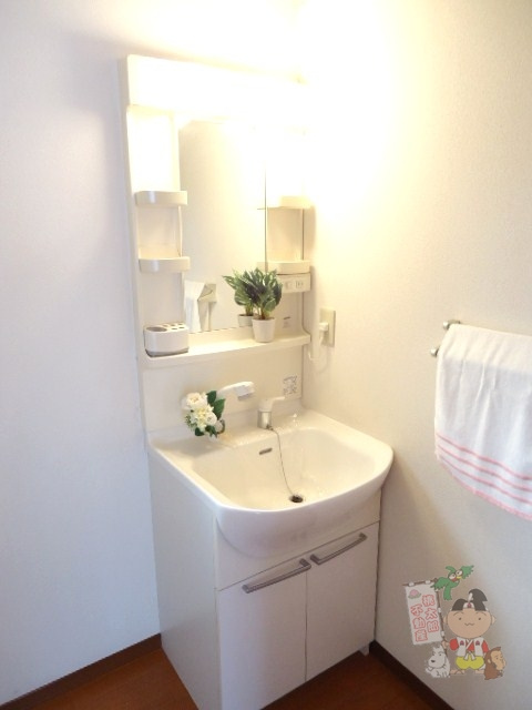 シャーメゾン江崎の洗面所