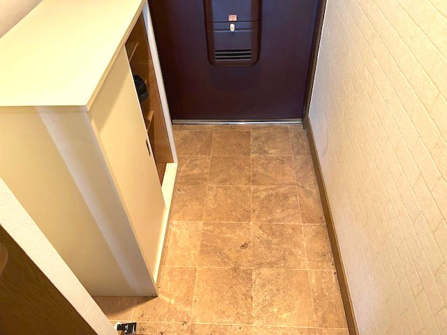 川口市南鳩ヶ谷２丁目の賃貸マンションの玄関