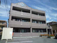 ロマンシェの画像