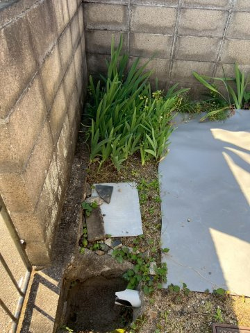 【その他】の画像