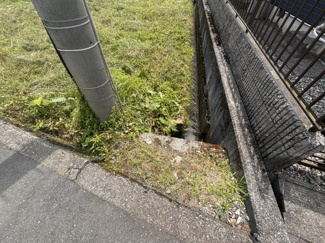 【その他】 | 高島市新旭町新庄1307-3,1308-3　売土地 | 2025年08月　撮影