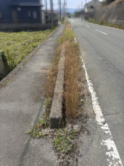 【前面道路含む現地写真】 | 高島市新旭町新庄1307-3,1308-3　売土地 | 2025年08月　撮影